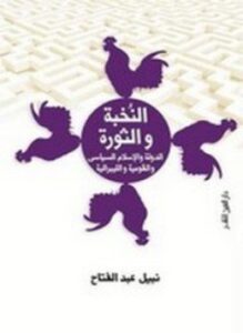 النخبة والثورة