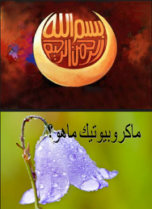 غذاء ماكروبيوتك