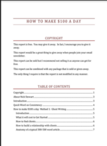 HOW TO MAKE $100 A DAY