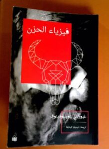 فيزياء الحزن