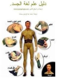 دليل علم لغة الجسد