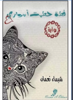 قطة حطمت أسوارى