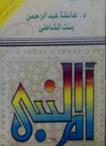 أم النبى