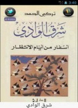 شرق الوادي