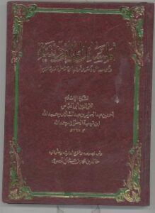 المسائل الماردينية