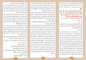 14 مطوية في العقيدة