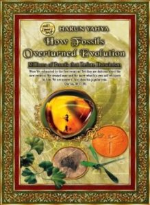 how fossils overturned evolution
