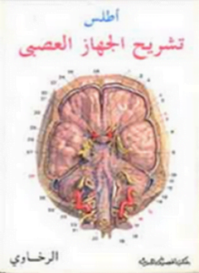 أطلس تشريح الجهاز العصبي