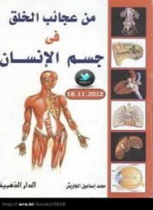 من عجائب الخلق في جسم الإنسان