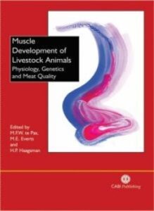Muscle development of livestock animals