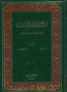 شرح ديوان الحماسة