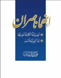 إنهما ناصران