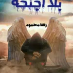 غلاف كتاب بلا أجنحة